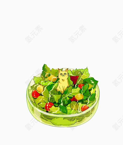 绿色蔬菜沙拉