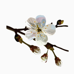 油画腊梅花素材