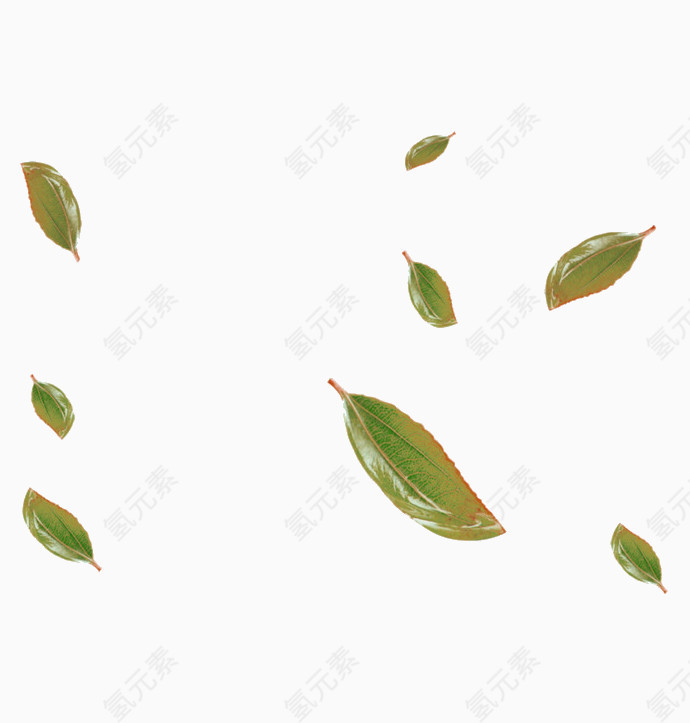 绿叶飘落漂浮