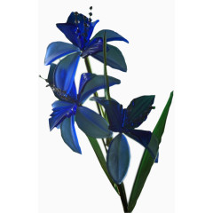 手绘装饰花草矢量素材