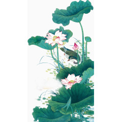 中国画荷花