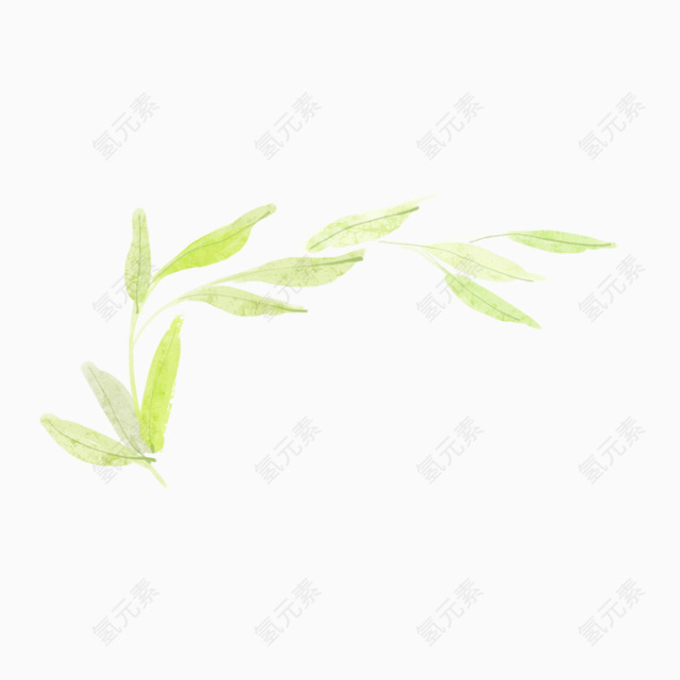精美绿色树叶