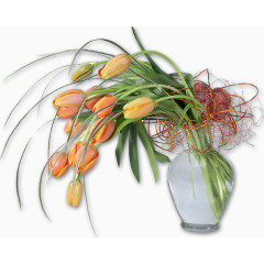 国画花卉素材卡通装饰素材