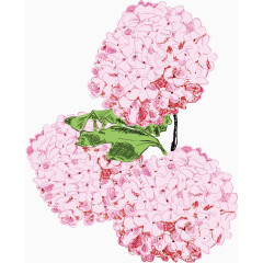 手绘风油画风水彩风粉色花朵