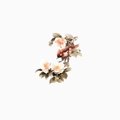 花朵素材