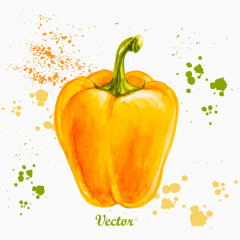 矢量水彩甜椒