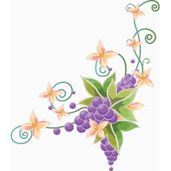 手绘葡萄花朵