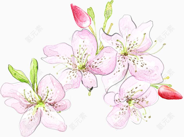 手绘风油画风水彩风花朵