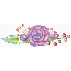 手绘 水彩粉彩 植物花卉 山茶花