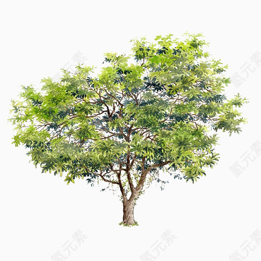 手绘树木图片绿色树木素材