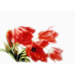 庆典花卉鲜花花草