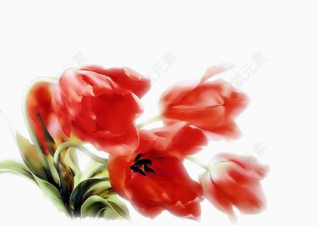 庆典花卉鲜花花草