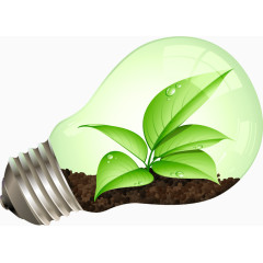 清新绿叶小草灯泡 