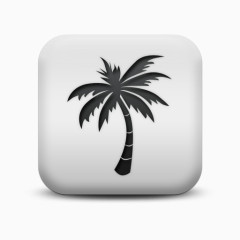 磨砂白广场图标自然奇迹树棕榈自然奇观