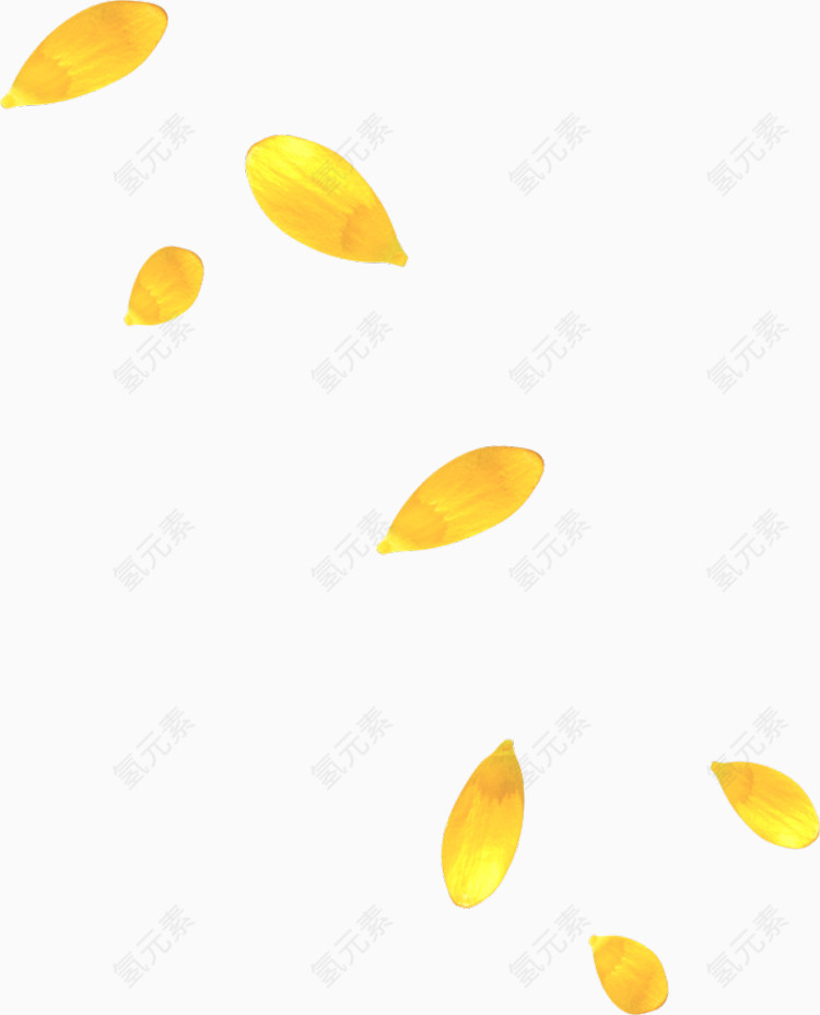 花瓣素材 漂浮元素 