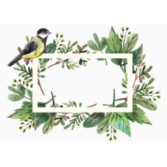 绿色夏日植物边框