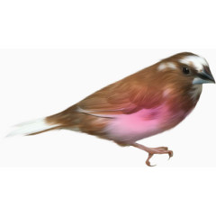 装饰素材古风装饰图片素材