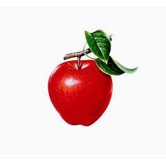 红富士苹果