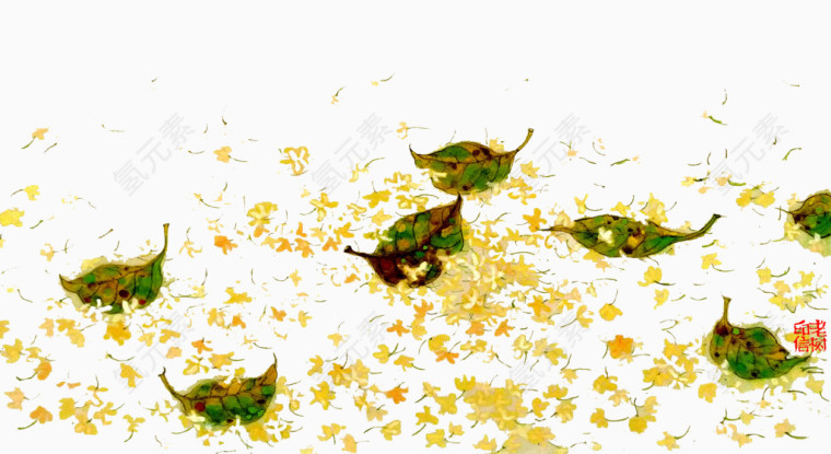 桂花花瓣