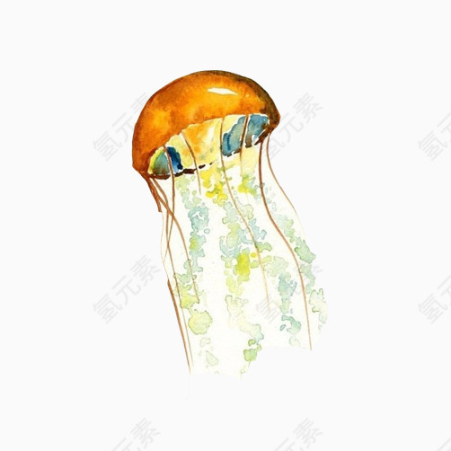 水母水彩画素材图片