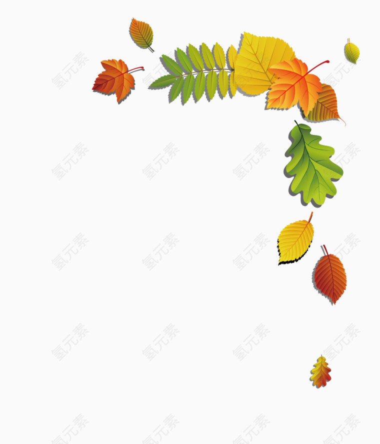 卡通树叶 秋天