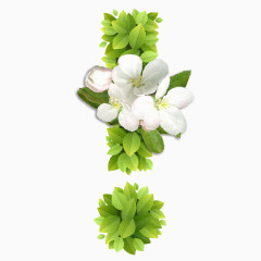 春意盎然的绿叶花卉感叹号！