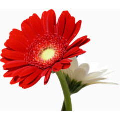 类别的应用程序工程图标