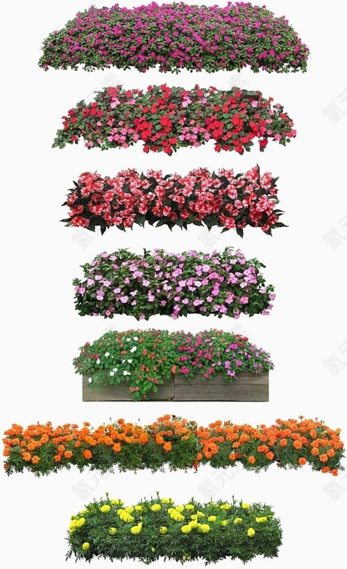 花丛