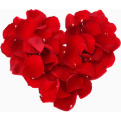 红色玫瑰花瓣爱心