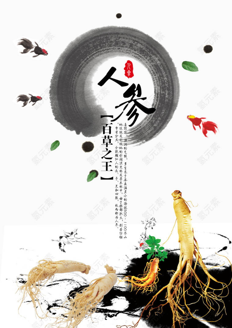 中国风人参中草药