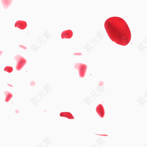 散落的花朵