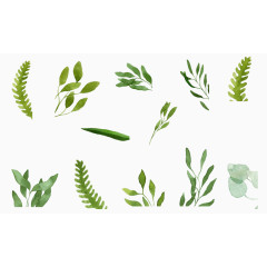 清新水墨树叶合集