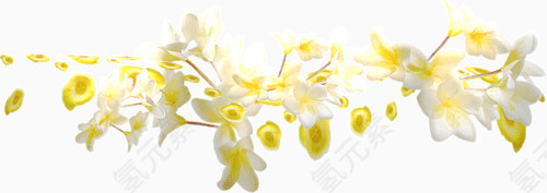 蝶恋花花藤