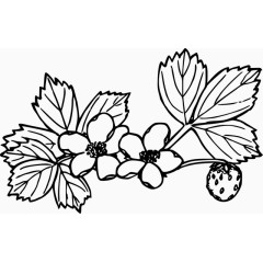 黑白经典时尚插画