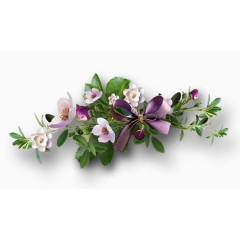 花卉图片花草线描