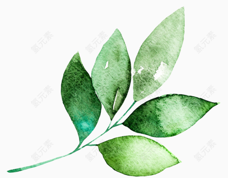 蘑菇木梯草莓树叶卡通手绘