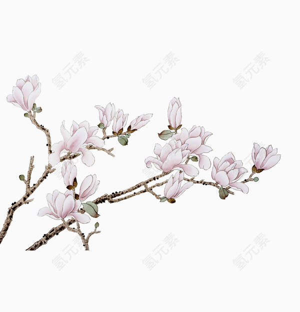 粉色木棉花
