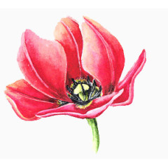 花卉图案花束图片