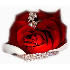 庆典花卉手绘花卉素材