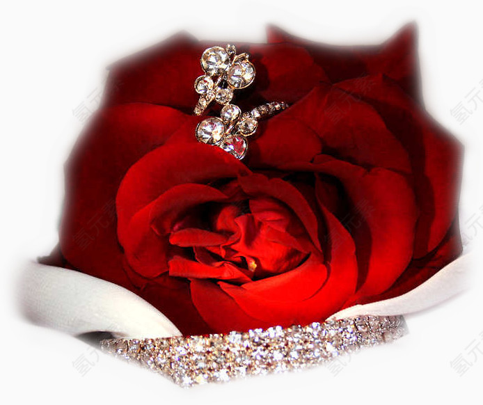 庆典花卉手绘花卉素材