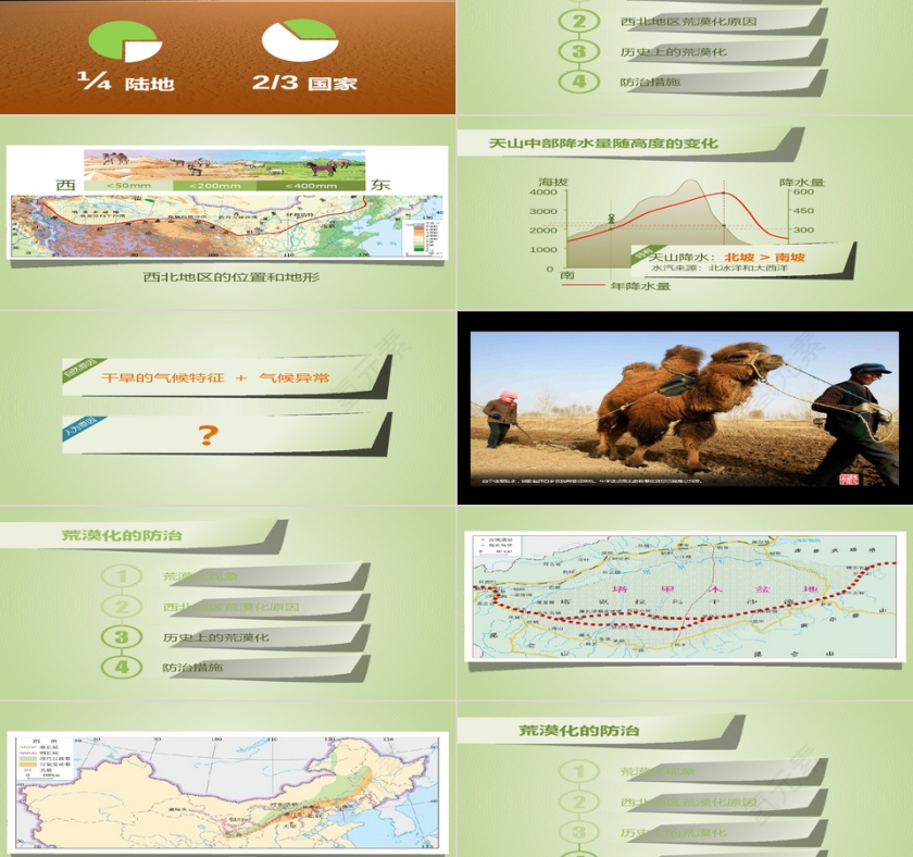 绿色简约大气荒漠化的防治理PPT第2张