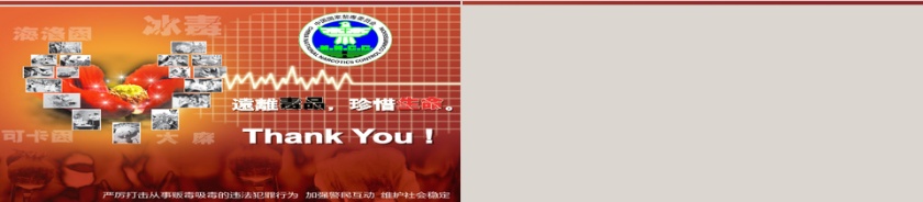 远离毒品珍惜生命主题党政军PPT第6张