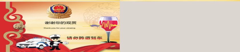 公安警察廉政打击犯罪年终报告第6张