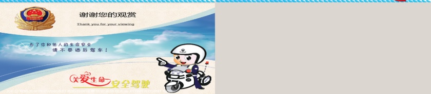 公安警察廉政打击犯罪年终报告第6张