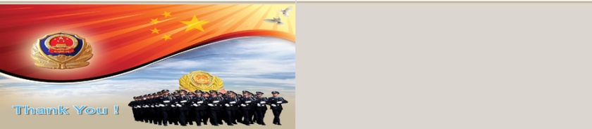 创意大气党政军公安检查报告PPT模板第6张