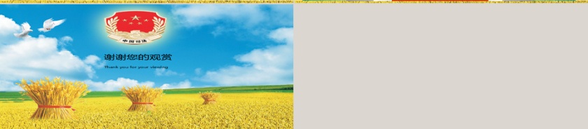 简约大气中国司法法院党政军PPT第6张