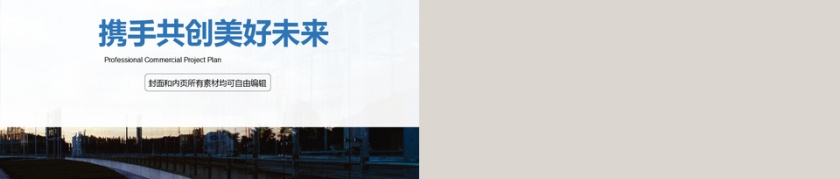 商业计划书工作报告ppt模板第5张