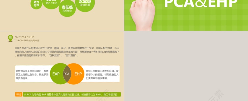 清新人力资源内部培训实施浅探培训PPT第6张