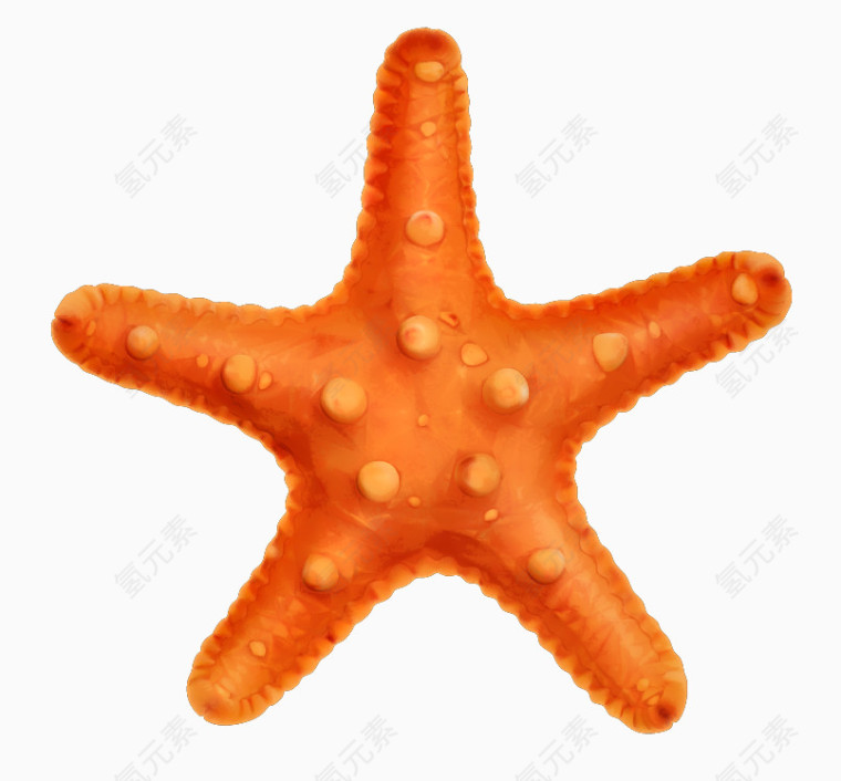 卡通唯美海星png