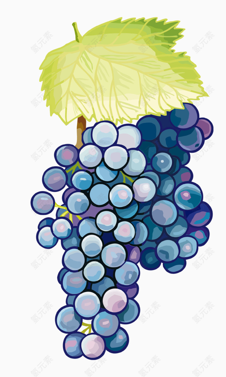 水彩清新紫葡萄